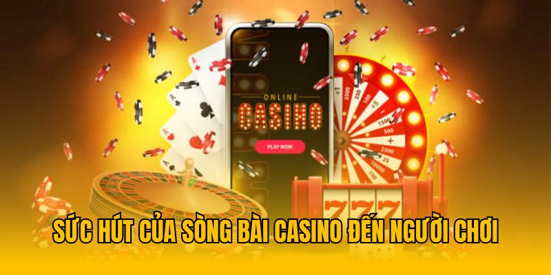 Sức hút của sòng bài casino đến người chơi 